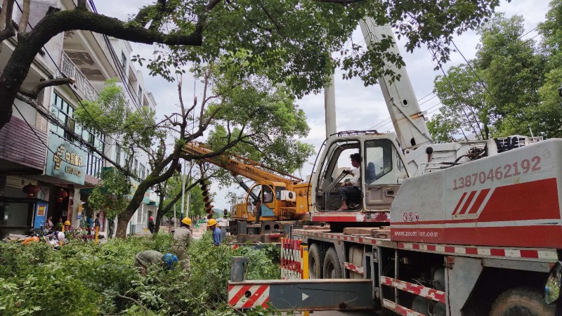 國網南豐縣供電公司：線路整治，備戰(zhàn)迎峰度夏