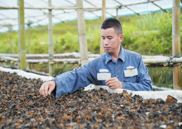 莫可芝：唯有奮斗才能改變貧窮