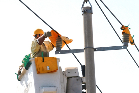 國網山東壽光供電：帶電作業(yè)不誤春灌 快速消缺服務農戶