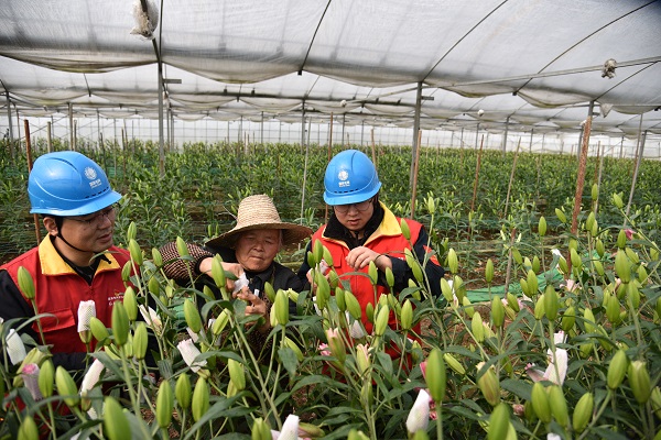 國網(wǎng)海寧市供電公司：優(yōu)質(zhì)服務(wù)暖花農(nóng) 助力特色產(chǎn)業(yè)發(fā)展