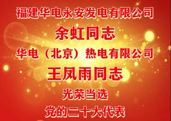 中國(guó)華電余虹、王鳳雨同志當(dāng)選黨的二十大代表