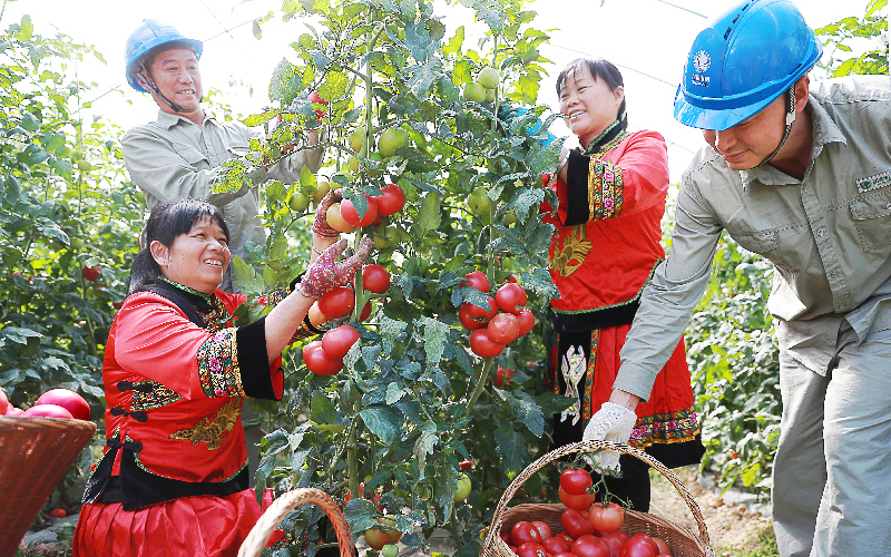 國(guó)網(wǎng)湖北電力公司民族團(tuán)結(jié)進(jìn)步工作紀(jì)實(shí)