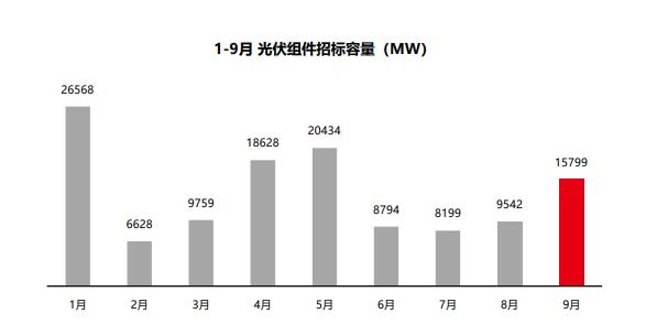 組件招標(biāo)量飆升，莫讓“最低價(jià)中標(biāo)”中傷“中國名片”