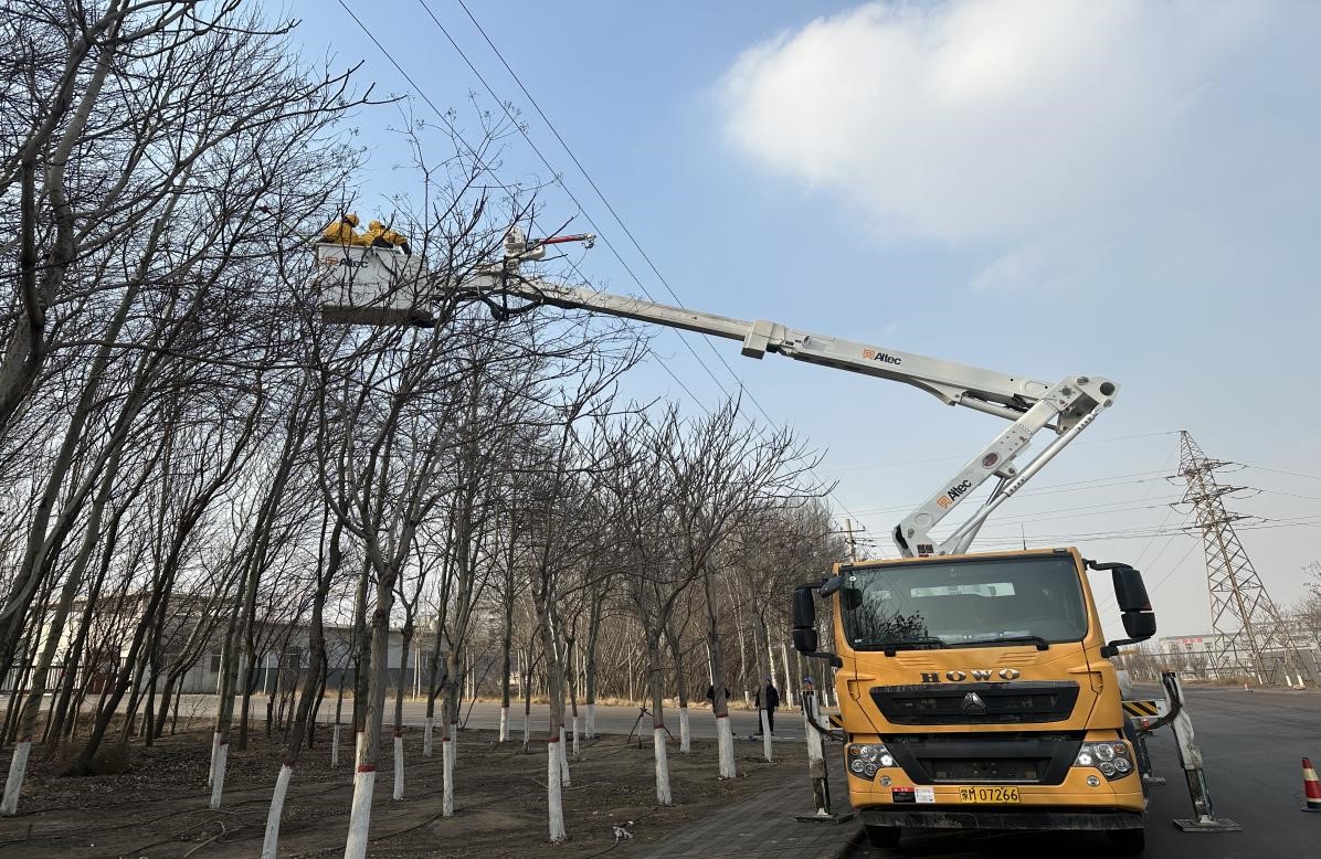 阿拉善供電公司配電帶電作業(yè)處開(kāi)春修“新枝” 小哥化身“理發(fā)師”