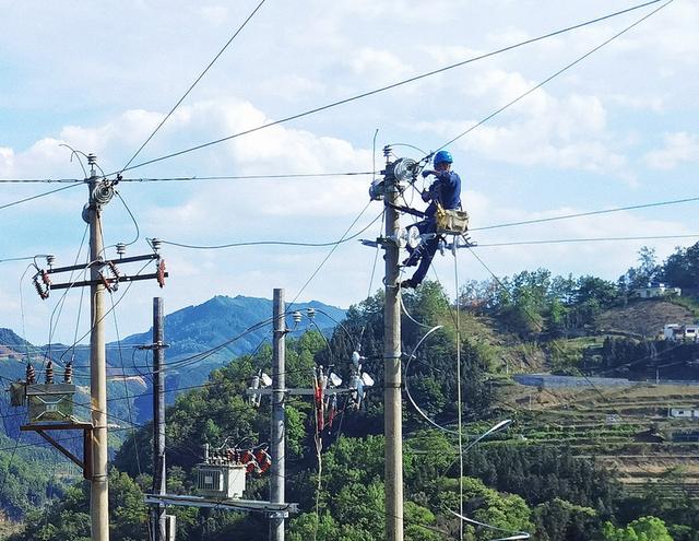 冊亨供電局高故障線路打上“強化針” 確保群眾用電無憂