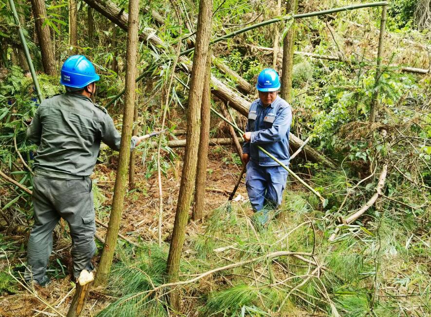 南方電網(wǎng)荔波供電局線路憂患如“猛獸”，通道清通要爭先