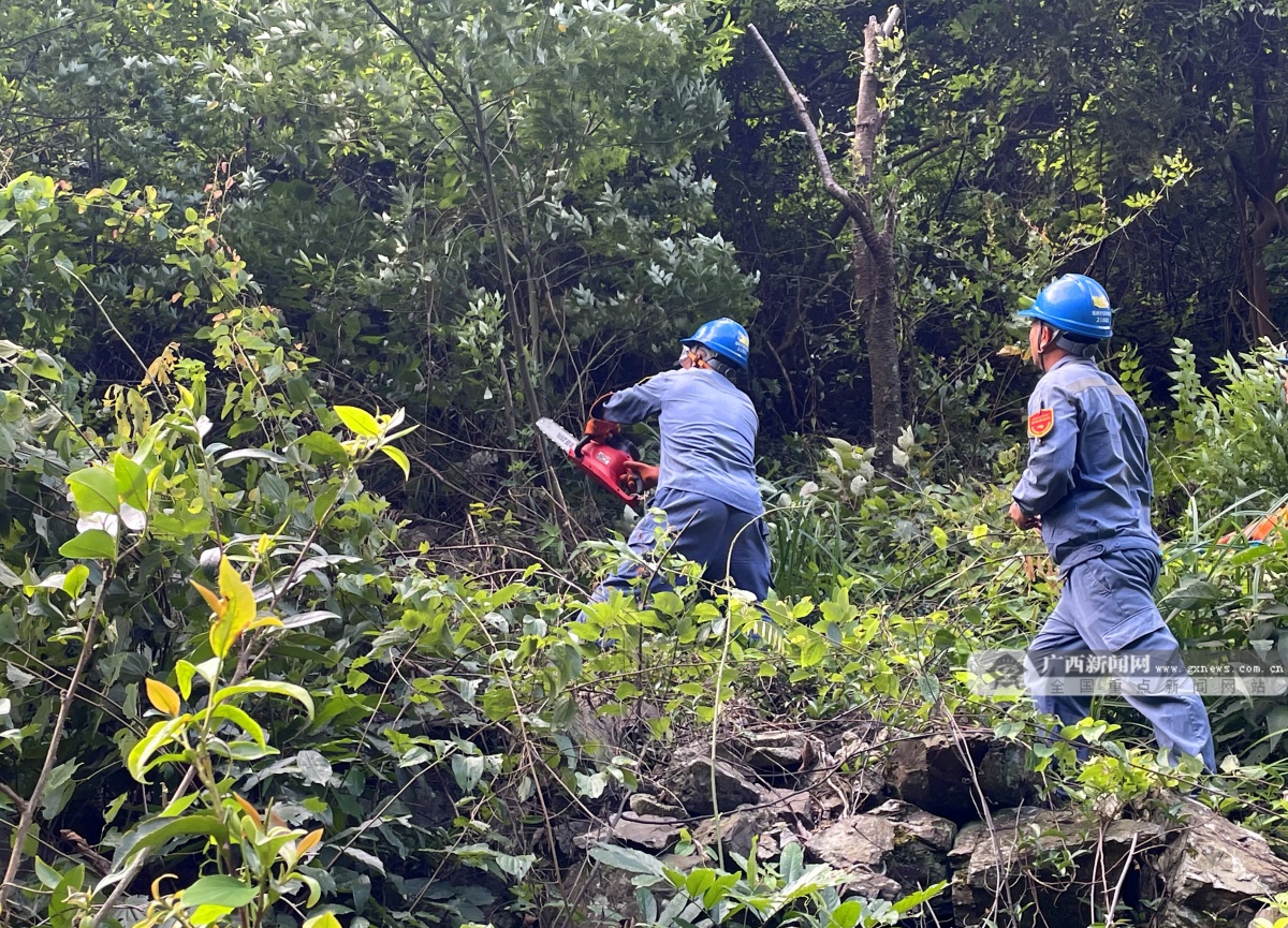 廣西興安供電局全力打造電力線路“安全通道”