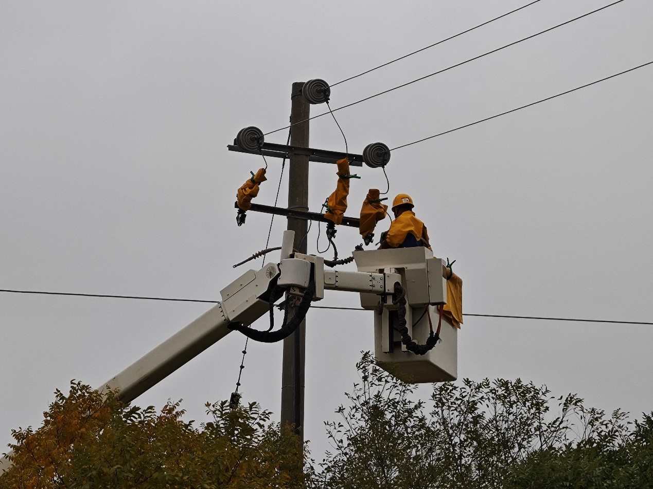 阿拉善供電公司：應急搶修保供電 帶電作業(yè)顯神威