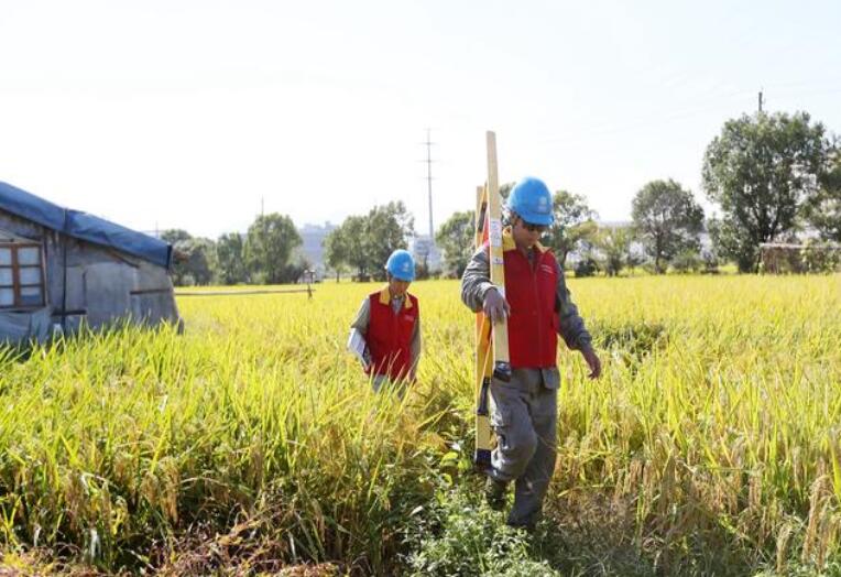 國網蒼南縣供電公司“紅船”助秋收 “豐”景無限好