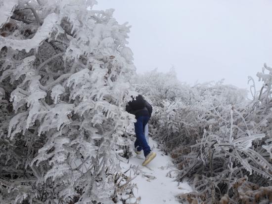 【新春走基層】迎雪而上攻堅行，奮戰(zhàn)不息護(hù)光明