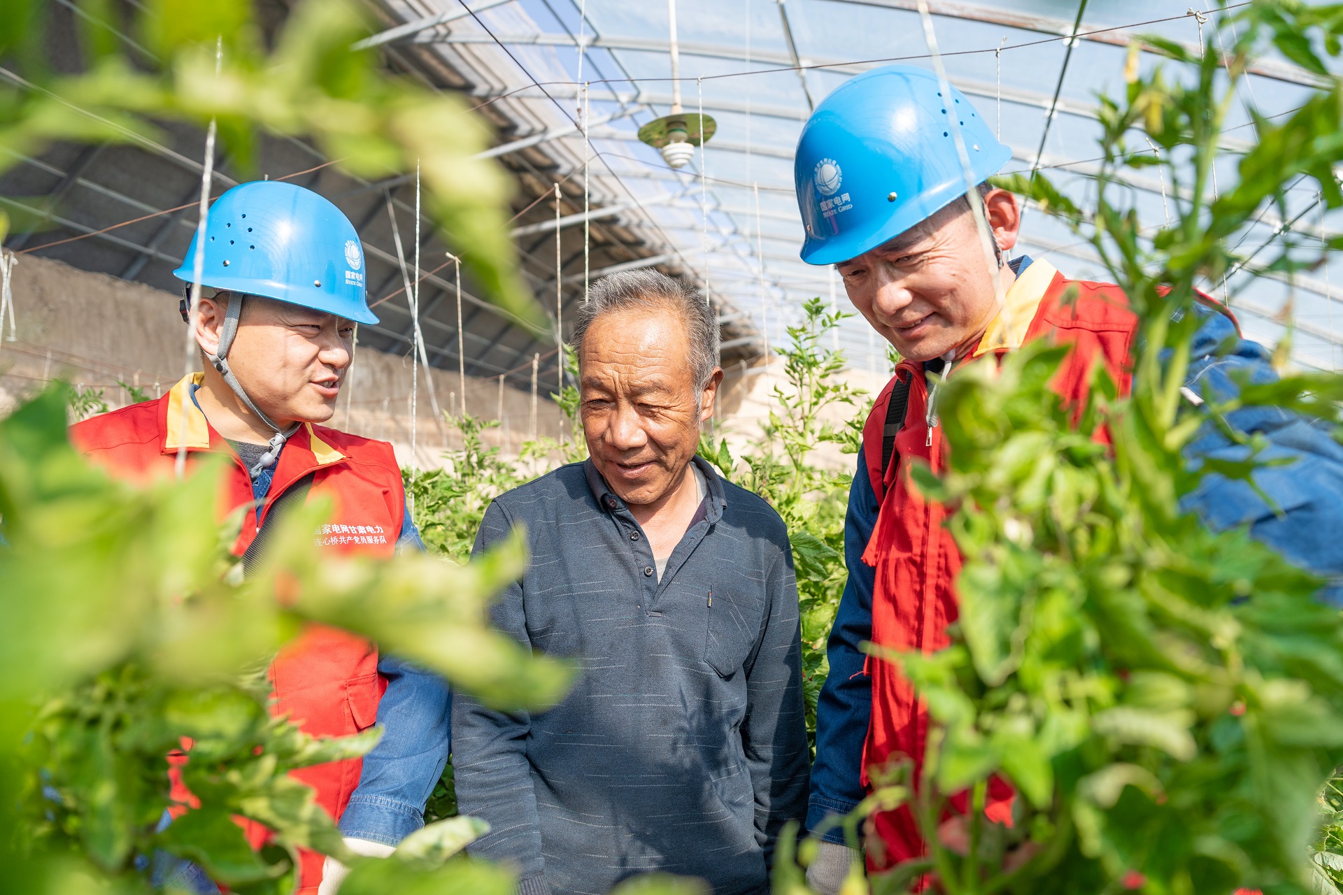 國網榆中縣供電公司：黨建賦能強保障 農業(yè)生產電力足