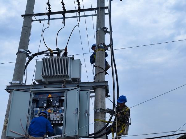 國網漳浦縣供電公司安裝低壓綜合配電箱 提高農網供電可靠性