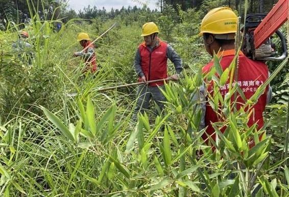 國網(wǎng)茶陵縣供電公司線路通道治理